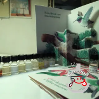 Oeillet Bengale Aedes de Venustas