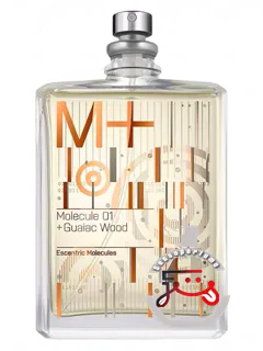 مولکول وان پلس گایاک وود اسنتریک مولکولز | molecule 01 + guaiac wood escentric molecules