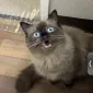 m8uwantcocoa