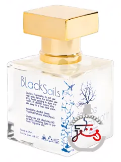 بلک سیلز فور د سنت آو ایت | black sails for the scent of it