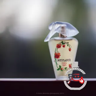 Pavlova Payot