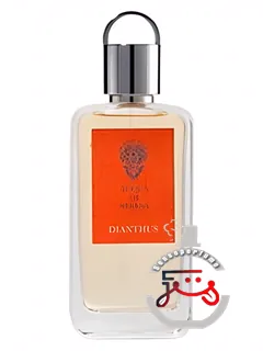 دیانتوس آکوآ دی استرسا | dianthus acqua di stresa