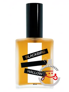 هالو بلک‌برد | hallow blackbird
