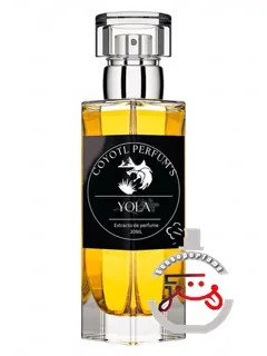 یولا کویوتل | yola coyotl