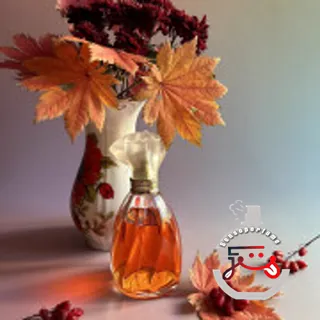 Nicole Miller Nicole Miller