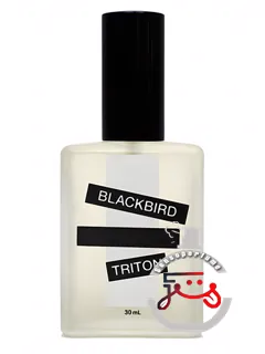ترایتون بلک‌برد | triton blackbird
