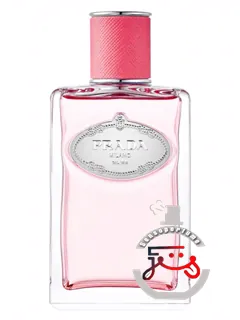 اینفیوژن دو روبارب پرادا | infusion de rhubarbe prada