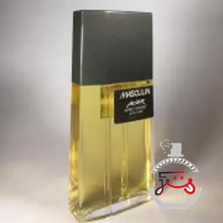 Masculin Acier Bourjois