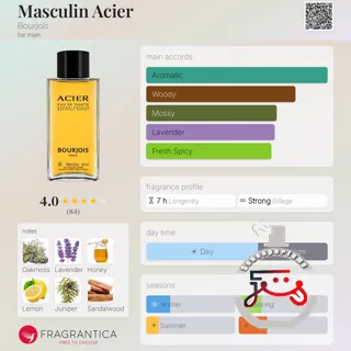 Masculin Acier Bourjois