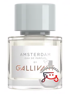 آمستردام گلیونت | amsterdam gallivant