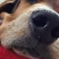 mariannebt