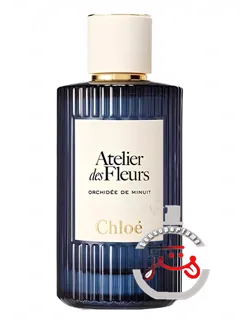 اورکیده دو مینویی کلو | orchidée de minuit chloé