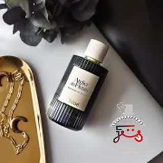 Orchidée de Minuit Chloé