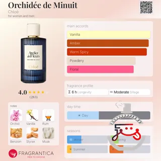 Orchidée de Minuit Chloé