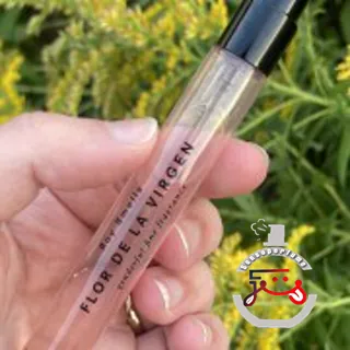 Flor de la Virgen Boy Smells