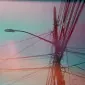 دِی سِوِن تِری اِلد
