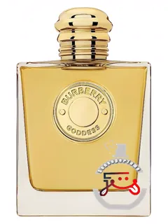 گادس اینتنس بوربری | goddess intense burberry