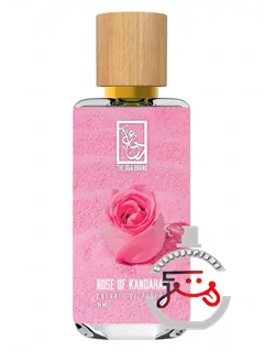 رز آو کندهار د دوآ برند | rose of kandahar the dua brand