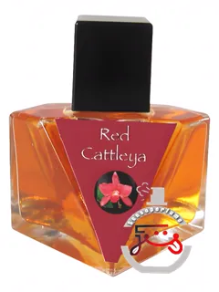 رد کتلیا المپیک اورکیدز آرتیزان پرفیومز | red cattleya olympic orchids artisan perfumes