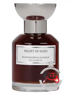 نایت این یزد محمدرضا کاظمیان | night in yazd mohammadreza kazemian