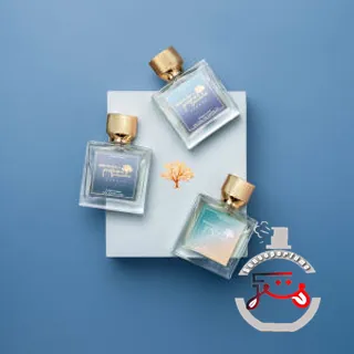 Indian Vetiver Memoirs Of A Perfume Collector