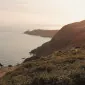 سِنتد پیانیست