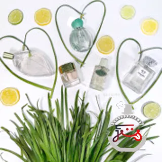 Infusion d'Iris Prada