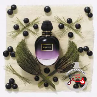 Dark Papyrus Alexander McQueen