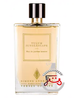 تولوم جنگل‌اسکیپ سیمونه آندره‌الی | tulum junglescape simone andreoli