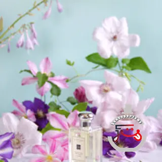 English Pear & Freesia Jo Malone London