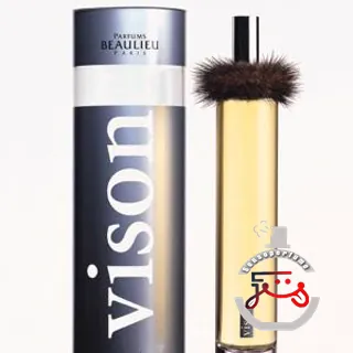 Vison EDP Robert Beaulieu