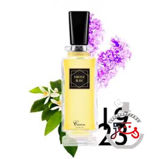 Narcisse Blanc Caron