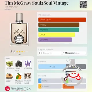 Tim McGraw Soul2Soul Vintage Tim McGraw