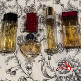 Dolce&Gabbana Dolce&Gabbana