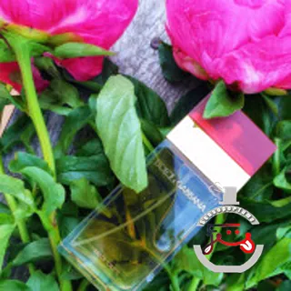 Dolce&Gabbana Dolce&Gabbana