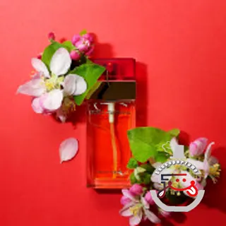 Dolce&Gabbana Dolce&Gabbana