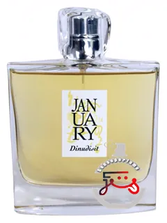 دینودیسیت جنوری اسسنت پراجکت | dinudisit january scent project