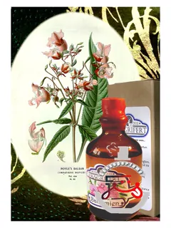 بالسمین فراگریفر پارفومر | balsemien fragrifert parfumeur