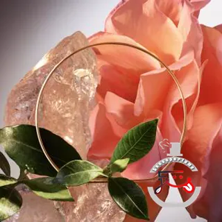 Absolue Le Parfum Lancôme