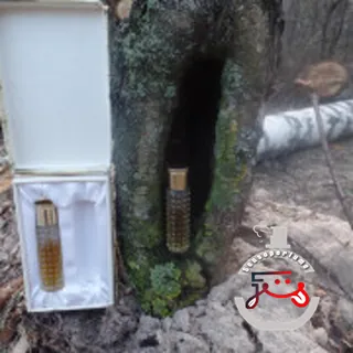 Latvija (Latvia) Dzintars