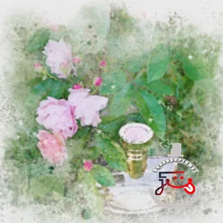 Rose Essentielle Bvlgari