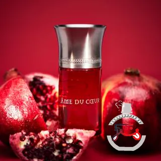 Âme Du Coeur Les Liquides Imaginaires