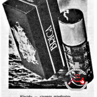 Briga (1982) Dzintars
