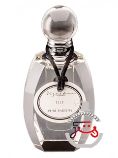 لیلی سیگنچر فرگرنسز | lily signature fragrances
