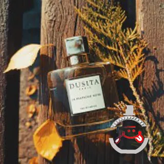 La Rhapsodie Noire Parfums Dusita