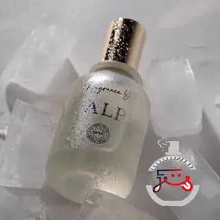 Alp YANI
