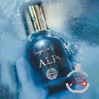 Alp YANI