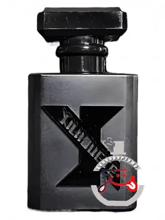 سیلوئت سنت استودیو | xilhouete scent studio