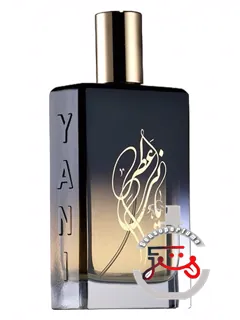 سیلور بیچ یانی | silver beach yani