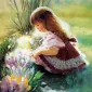 ویند هشتاد و سه